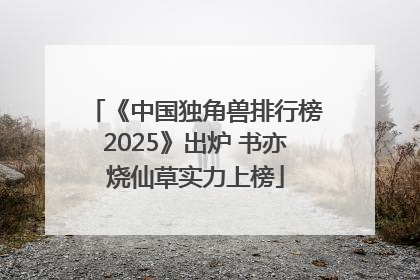 《中国独角兽排行榜2025》出炉 书亦烧仙草实力上榜