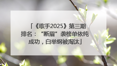 《歌手2025》第三期排名：“断眉”袭榜单依纯成功，白举纲被淘汰
