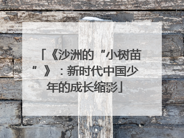 《沙洲的“小树苗”》：新时代中国少年的成长缩影