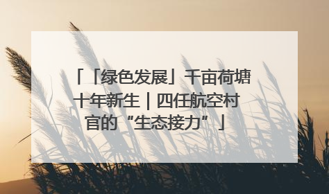 「绿色发展」千亩荷塘 十年新生｜四任航空村官的“生态接力”
