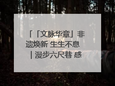 「文脉华章」非遗焕新 生生不息｜漫步六尺巷 感受礼让文化浸润的“巷”往生活