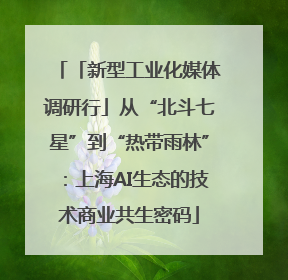 「新型工业化媒体调研行」从“北斗七星”到“热带雨林”：上海AI生态的技术商业共生密码
