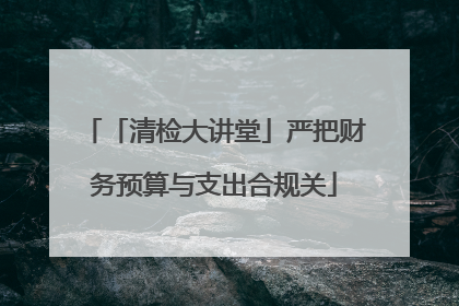 「清检大讲堂」严把财务预算与支出合规关