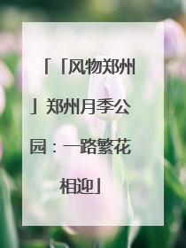 「风物郑州」郑州月季公园：一路繁花相迎