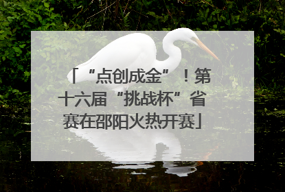 “点创成金”！第十六届“挑战杯”省赛在邵阳火热开赛