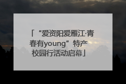“爱资阳爱雁江·青春有young”特产校园行活动启幕