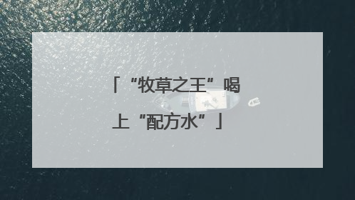 “牧草之王”喝上“配方水”