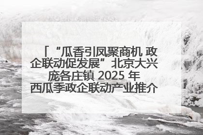 “瓜香引凤聚商机 政企联动促发展”北京大兴庞各庄镇 2025 年西瓜季政企联动产业推介活动圆满举行