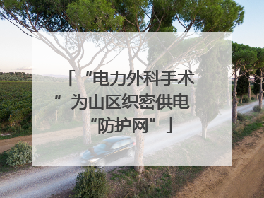 “电力外科手术”为山区织密供电“防护网”