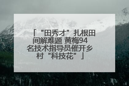 “田秀才”扎根田间解难题 黄梅94名技术指导员催开乡村“科技花”