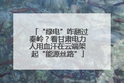 “绿电”咋翻过秦岭？看甘肃电力人用血汗在云端架起“能源丝路”