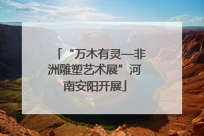“万木有灵—非洲雕塑艺术展”河南安阳开展