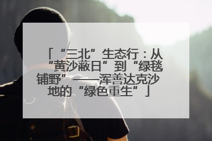 “三北”生态行：从“黄沙蔽日”到“绿毯铺野”——浑善达克沙地的“绿色重生”