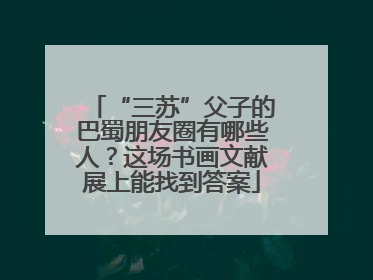 “三苏”父子的巴蜀朋友圈有哪些人？这场书画文献展上能找到答案