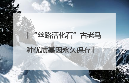 “丝路活化石”古老马种优质基因永久保存