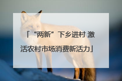 “两新”下乡进村 激活农村市场消费新活力