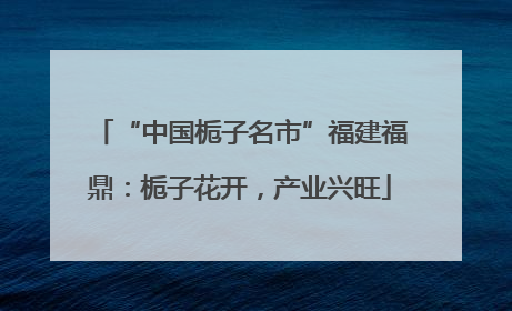 “中国栀子名市”福建福鼎：栀子花开，产业兴旺