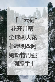 “云荷”花开并蒂 全球两大花都昆明&阿姆斯特丹强强联手