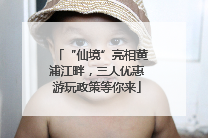 “仙境”亮相黄浦江畔，三大优惠游玩政策等你来