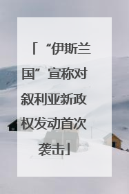 “伊斯兰国”宣称对叙利亚新政权发动首次袭击