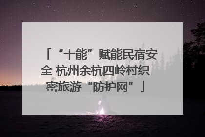 “十能”赋能民宿安全 杭州余杭四岭村织密旅游“防护网”
