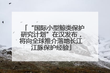 “国际小型鲸类保护研究计划”在汉发布，将向全球推介落地长江江豚保护经验