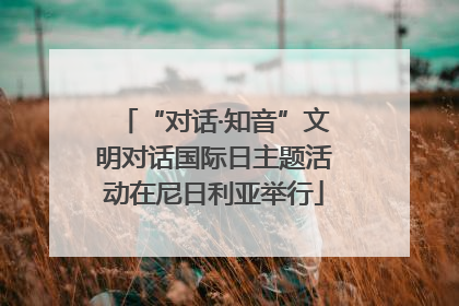 “对话·知音”文明对话国际日主题活动在尼日利亚举行