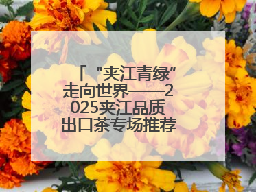 “夹江青绿”走向世界——2025夹江品质出口茶专场推荐会于成都启幕