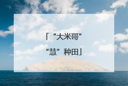 “大米哥”“慧”种田