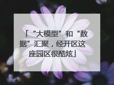 “大模型”和“数据”汇聚，经开区这座园区很酷炫