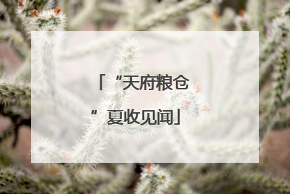 “天府粮仓”夏收见闻
