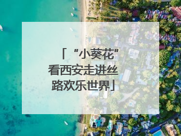 “小葵花”看西安走进丝路欢乐世界