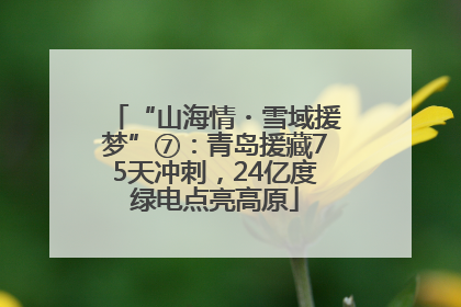 “山海情・雪域援梦”⑦：青岛援藏75天冲刺，24亿度绿电点亮高原