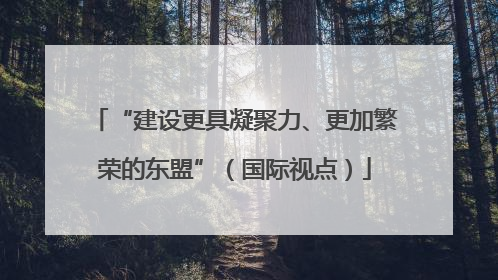 “建设更具凝聚力、更加繁荣的东盟”（国际视点）