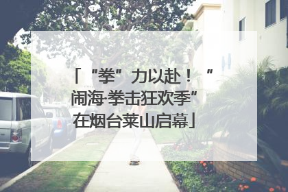“拳”力以赴！“闹海·拳击狂欢季”在烟台莱山启幕