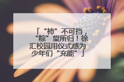 “柿”不可挡，“粽”望所归！徐汇校园用仪式感为少年们“充能”
