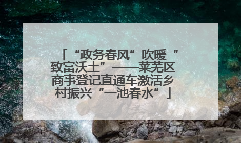 “政务春风”吹暖“致富沃土”——莱芜区商事登记直通车激活乡村振兴“一池春水”