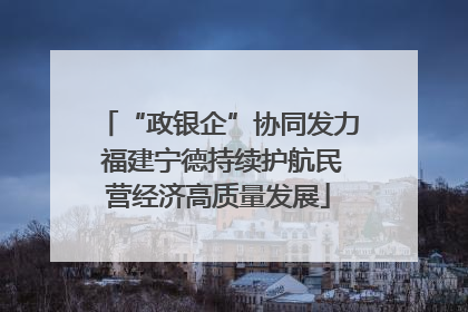“政银企”协同发力 福建宁德持续护航民营经济高质量发展