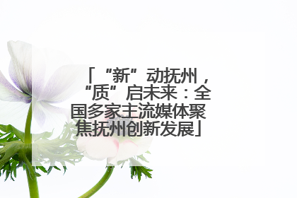 “新”动抚州，“质”启未来：全国多家主流媒体聚焦抚州创新发展
