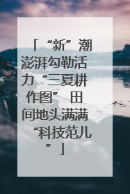 “新”潮澎湃勾勒活力“三夏耕作图” 田间地头满满“科技范儿”
