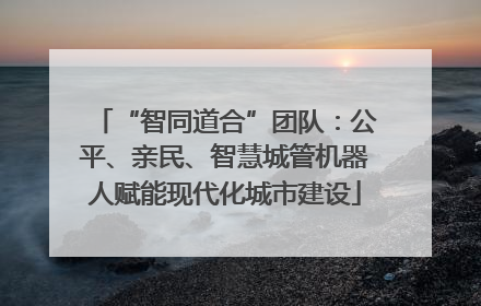“智同道合”团队：公平、亲民、智慧城管机器人赋能现代化城市建设
