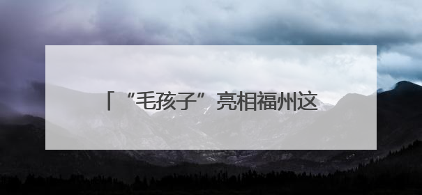 “毛孩子”亮相福州这里！还有很多福利……