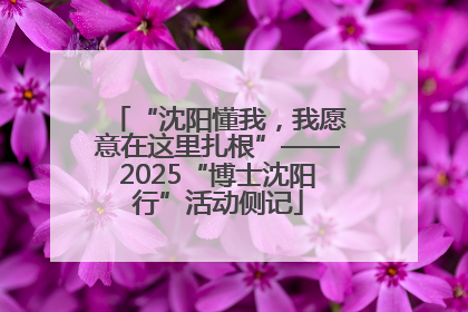 “沈阳懂我，我愿意在这里扎根”——2025“博士沈阳行”活动侧记