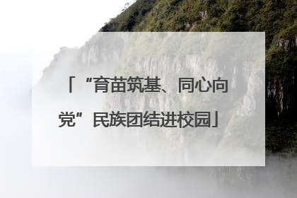 “育苗筑基、同心向党”民族团结进校园