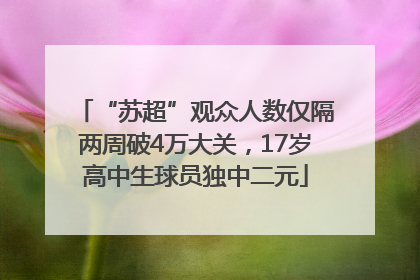 “苏超”观众人数仅隔两周破4万大关，17岁高中生球员独中二元
