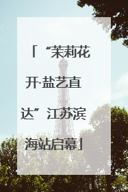“茉莉花开·盐艺直达”江苏滨海站启幕