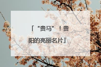 “贵马”!贵阳的亮丽名片