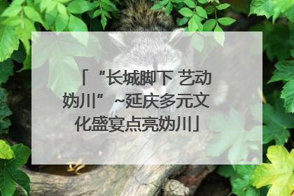 “长城脚下 艺动妫川”~延庆多元文化盛宴点亮妫川