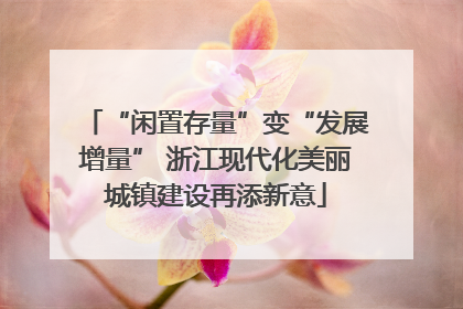 “闲置存量”变“发展增量” 浙江现代化美丽城镇建设再添新意