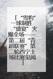 “雪豹”一球制胜 “盛宴”火爆全场——第二届“青超联赛”第二轮西宁主场比赛见闻